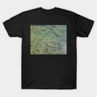 River Fish T-Shirt